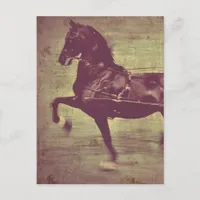 Saddlebred Song Postcard