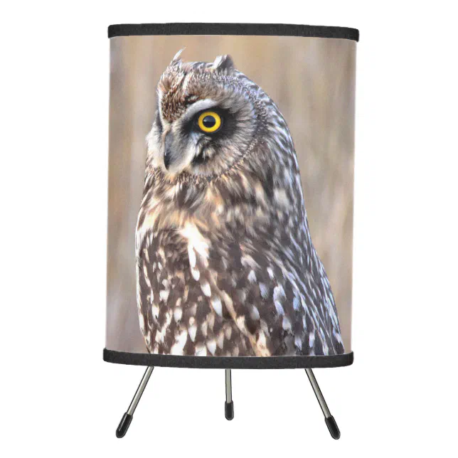 Portrait of a Short-Eared Owl Tripod Lamp