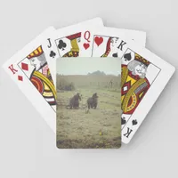 Haying Time Poker Cards