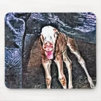 Funny Newborn Foal Mouse Pad