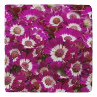 Beautiful Purple Cineraria Flowers Trivet