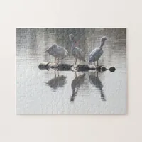 Puzzle - Pelicans and Reflections