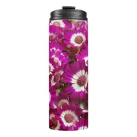 Beautiful Purple Cineraria Flowers Thermal Tumbler