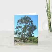 Note Card - Eucalyptus at bridge