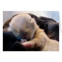 Asleep