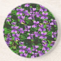 WI State Flower Wood Violet Mosaic Pattern Drink Coaster
