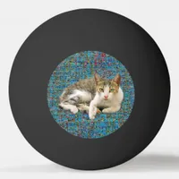 Cute cat on abstract background ping pong ball