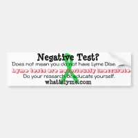 Lyme Awareness Bumper Sticker