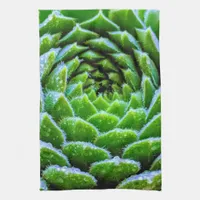 Green Succulents Nature Photography Tea Towel