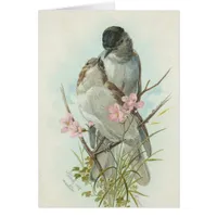 Vintage Birds