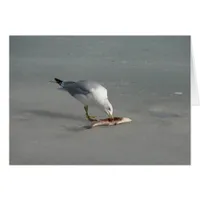 Eat Fish
