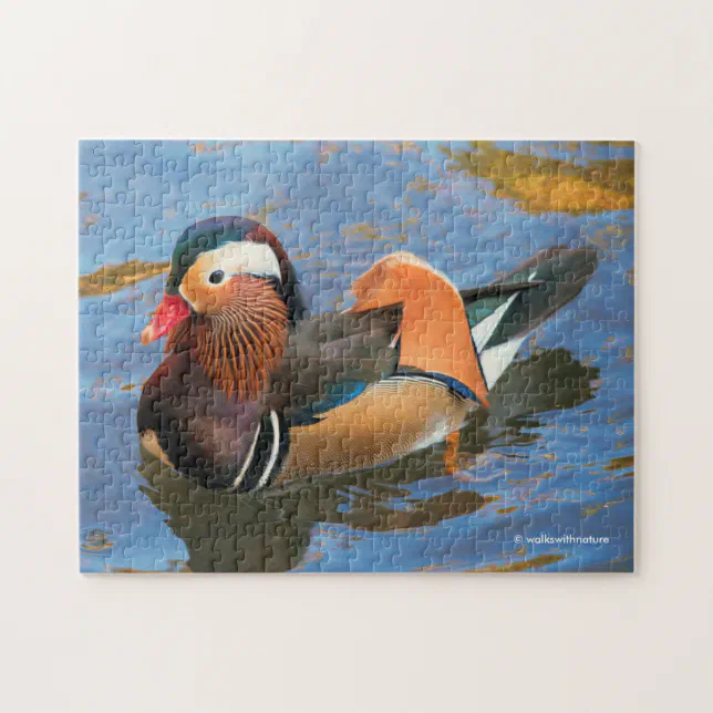 Beautiful Mandarin Duck in the Pond Jigsaw Puzzle