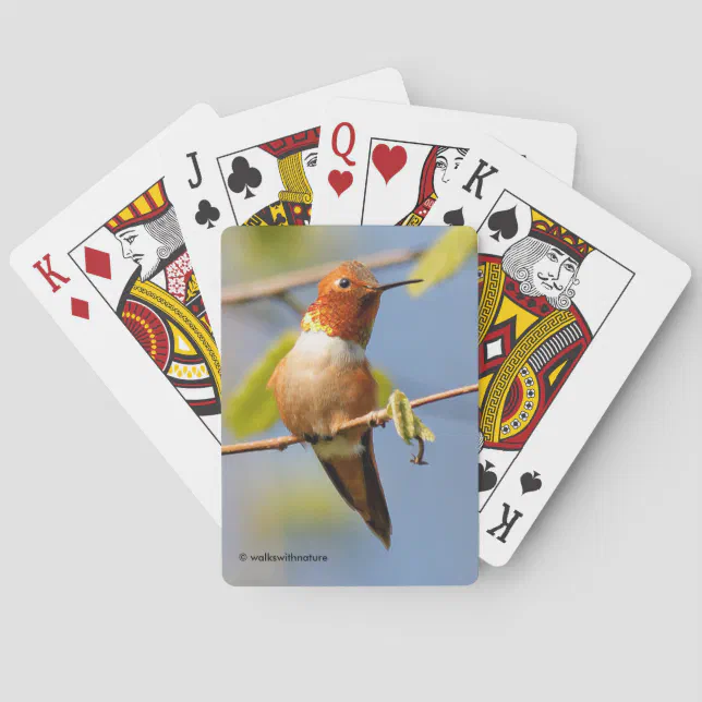 Male Rufous Hummingbird in the Summer Sun Poker Cards