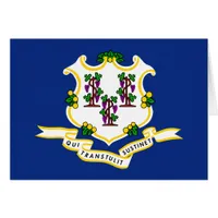 Connecticut State Flag