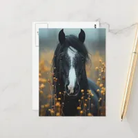 Beautiful Black Horse Postcard