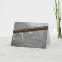 Icy Branch Card
