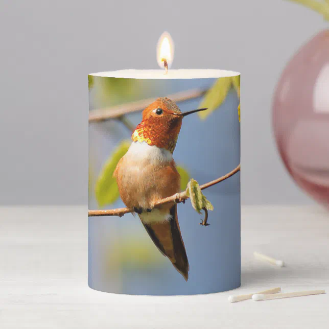 Male Rufous Hummingbird in the Summer Sun Pillar Candle