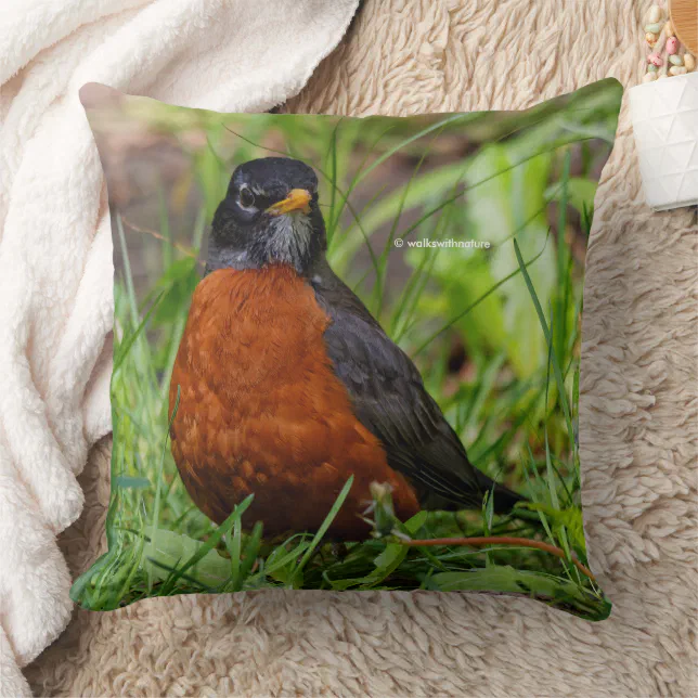 A Curious and Hopeful American Robin Throw Pillow