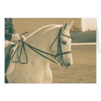 Dressage Horse