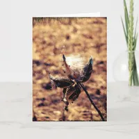 Milkweed Grunge Card