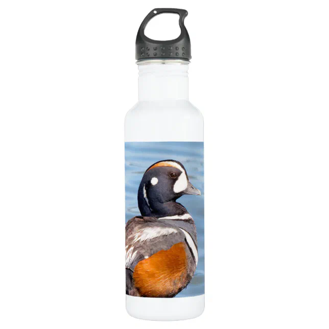 Beautiful Harlequin Duck on the Rock Stainless Steel Water Bottle