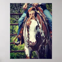 Western Paint Horse Poster
