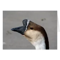 A Goose in the Park Cards