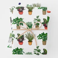 Hand Drawn Houseplants Birthday Wrapping Paper Sheets