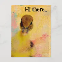 Hi there Muscovy Duckling Postcard