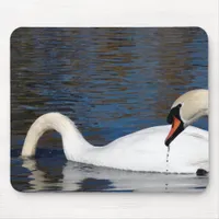 Swans Feeding Mouse Pad