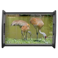 Sandhill Crane Parents and Chick Serving Tray