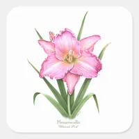 Daylily - Ultimate Pink Square Sticker