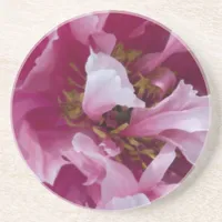 Pink Peony Flower Sandstone Coaster