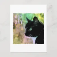 Seize the Day Cat Postcard