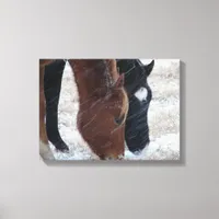 Snowy Eats Canvas Print