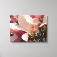 Magnolia Canvas Print