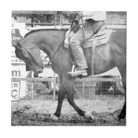 Rodeo Horse Warm-up Black and White Tile