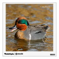 A Chatty Green-Winged Teal Duck at the Pond Wall Decal