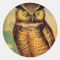 Vintage Owl Classic Round Sticker