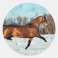 Winter Akhal-teke Classic Round Sticker