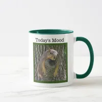 Today's Mood, Funny lazy tired sleepy Squirrel Mug