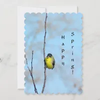 Greeting Card - Spring Finch