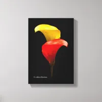 Elegant Gold and Crimson Calla Lilies Canvas Print