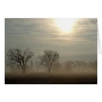 Foggy Morning