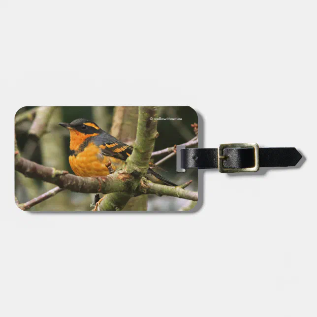 Beautiful Varied Thrush Songbird in the Tree Luggage Tag