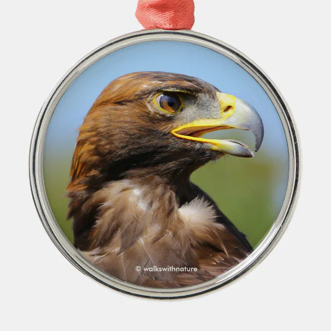 Vision of a Beautiful Young Golden Eagle Metal Ornament