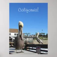 Poster - Pelicans on Pier