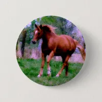 Spring Dreams, Sorrel Trotting Button