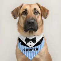 Striped Suit Pattern Name Pet Bandana Collar