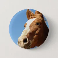 Dunnit Pinback Button